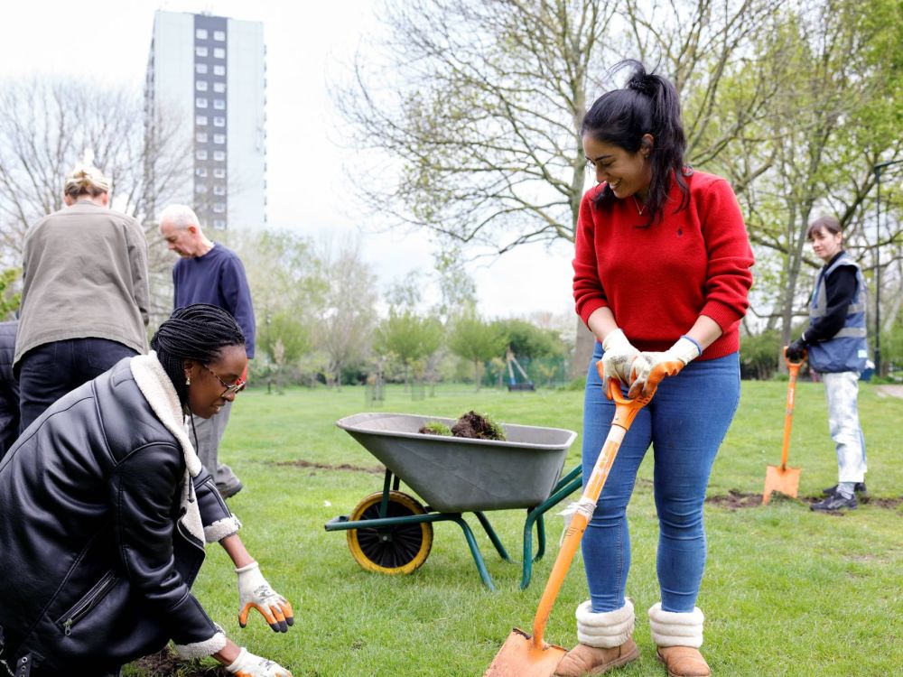 Two women digging into a grass lawn with a wheelbarrow behind them