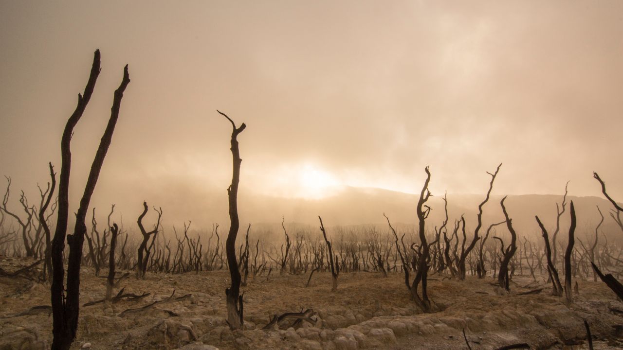 photo of barren landscape