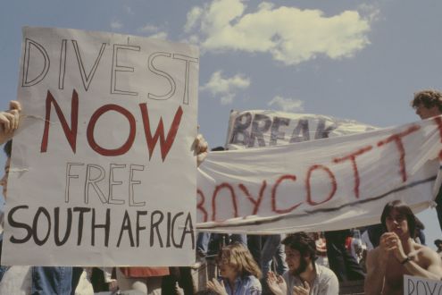 An old photograph of students clapping and holding banners that read "Divest now, free South Africa" and "Boycott"
