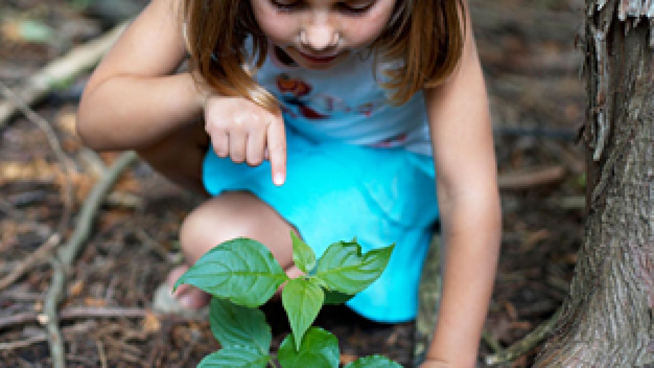Photo of a girl planting a seedling