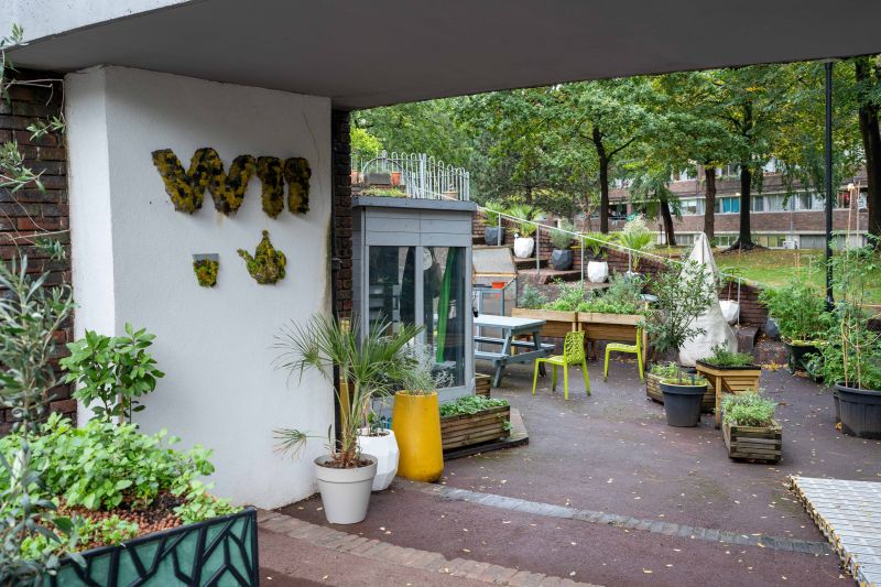 A block of flats that has been greened - lots of plant pots and trees, as well as places to sit.