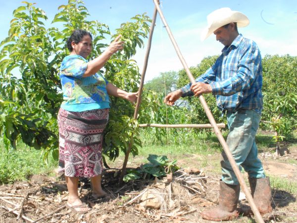 Two older people who look like a couple, putting sticks together to form a triangular structure
