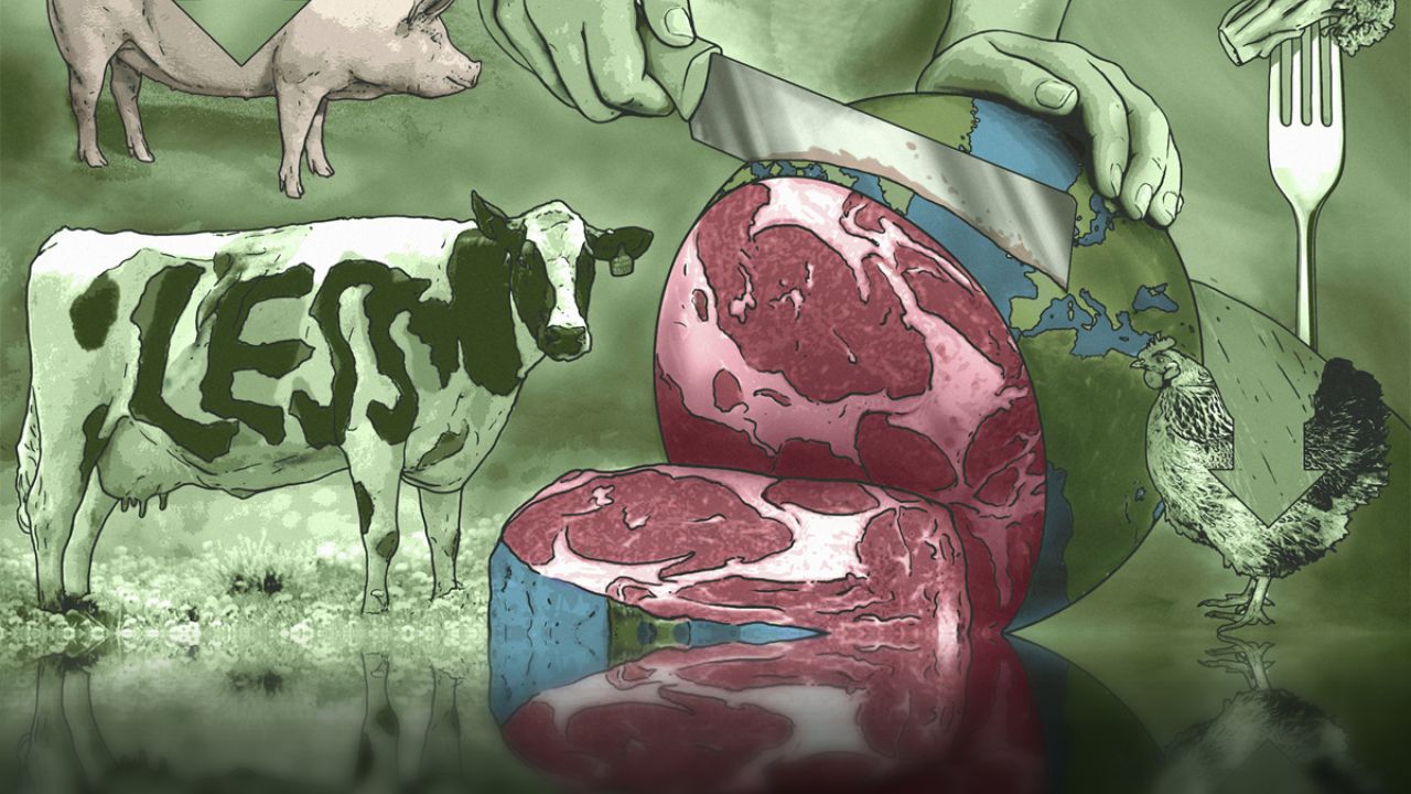 Illustration showing meat and livestock