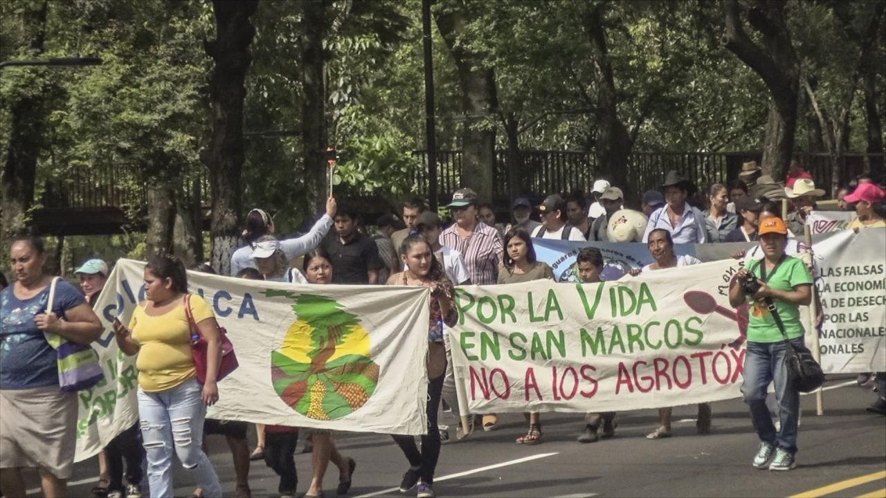 A rally taking place on the road with people holding banners. One says 'por la visa en san marcos no a los agrotox'
