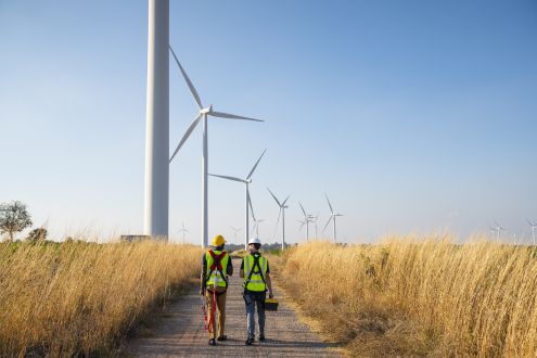 Two engineers walking along a row of wind turbines at a wind farm