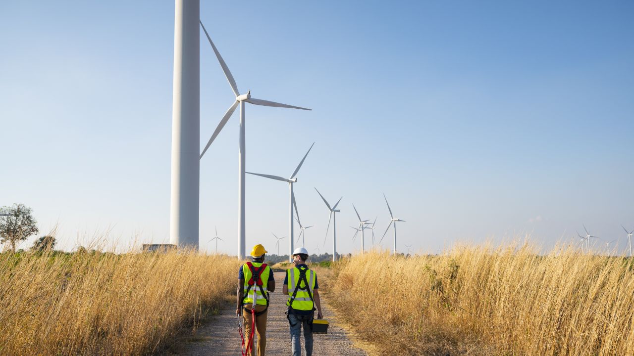 Two engineers walking along a row of wind turbines at a wind farm