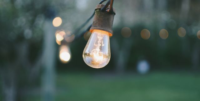 Light bulbs hanging in a tree