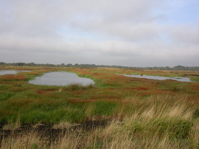 Photo of re-flooded peat workings, Thorne & Hatfield Moor