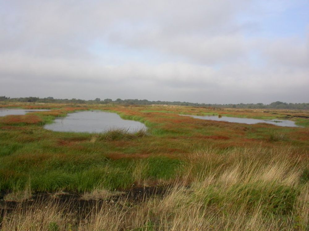 Photo of re-flooded peat workings, Thorne & Hatfield Moor
