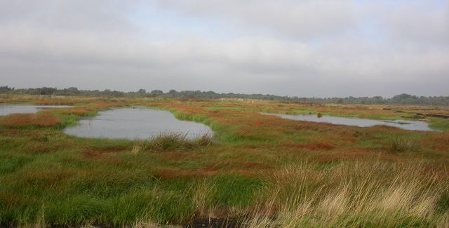 Photo of re-flooded peat workings, Thorne & Hatfield Moor