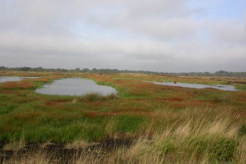 Photo of re-flooded peat workings, Thorne & Hatfield Moor