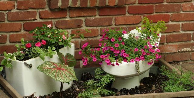 flowering plants in old ceramic wear