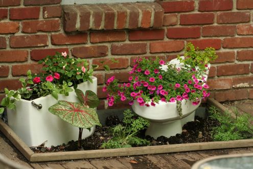 flowering plants in old ceramic wear
