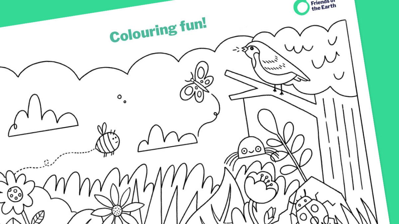 Colouring fun - Planet Protectors
