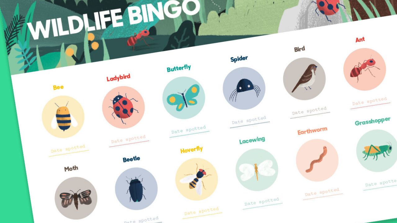 Wildlife bingo - Planet Protectors