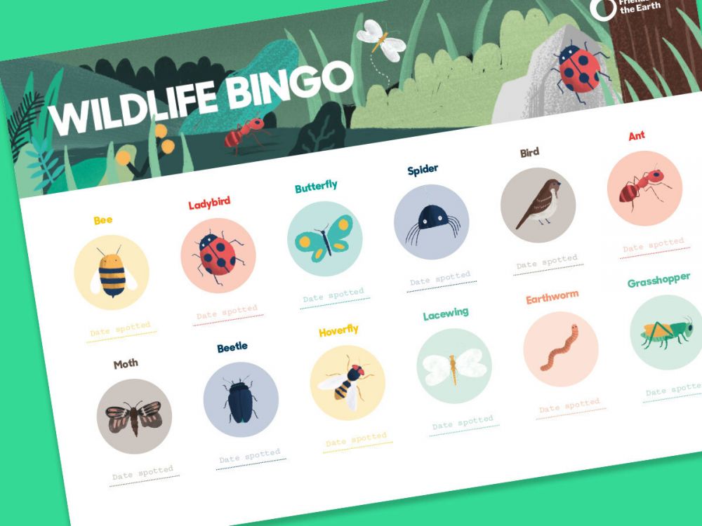 Wildlife Bingo