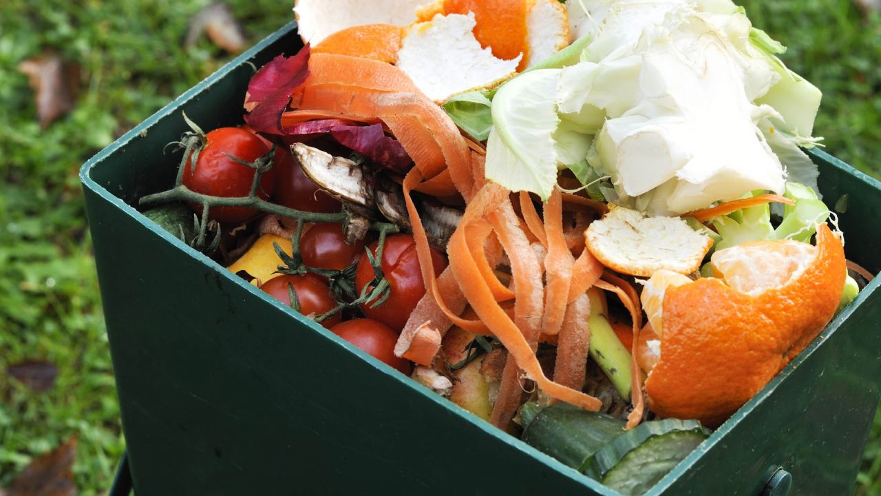 Food waste bin