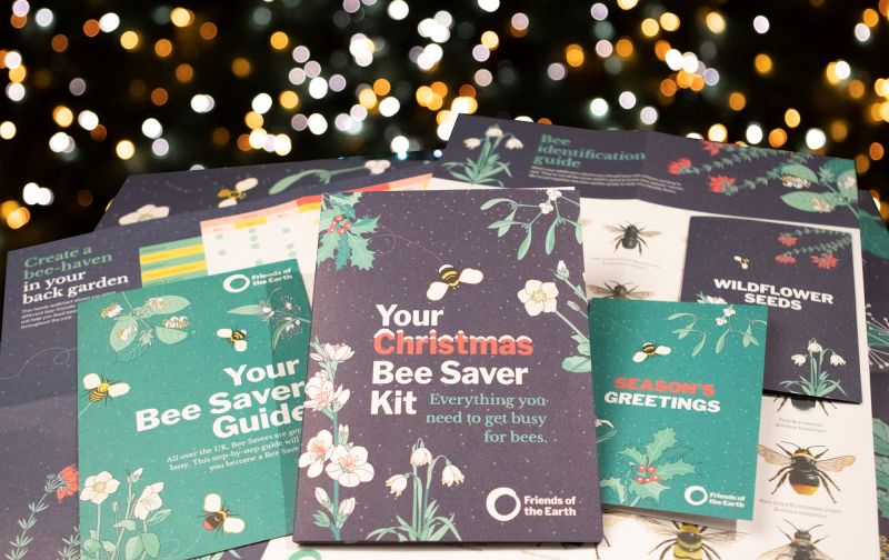Help save our bees this Christmas