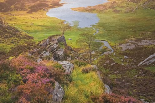 Snowdonia 