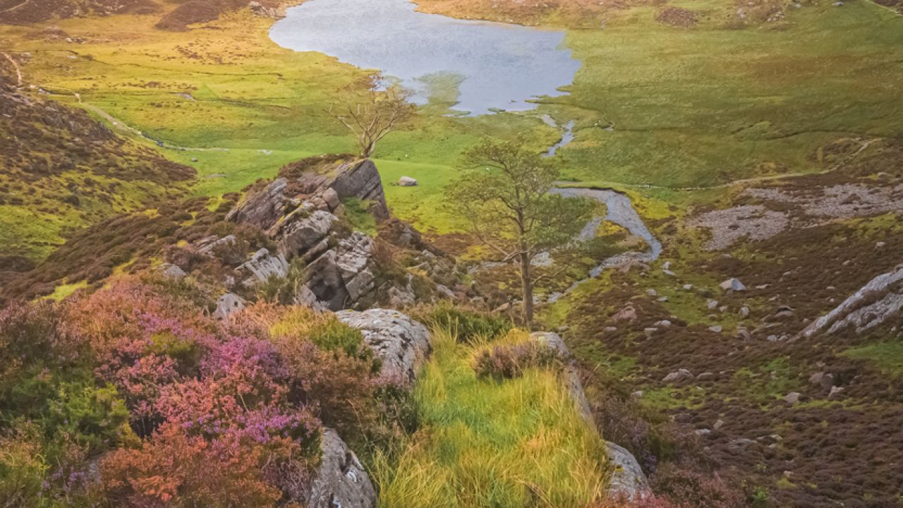 Snowdonia 