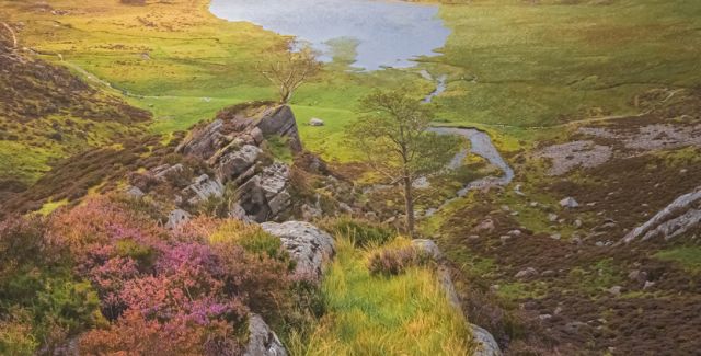 Snowdonia 