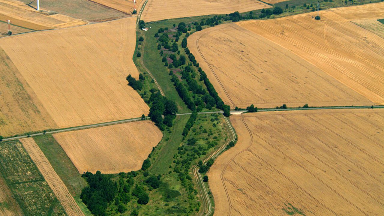 German green belt