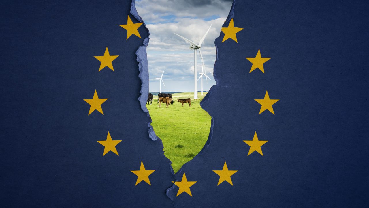 The EU flag ripping down the middle to reveal a field with wind turbines and cows