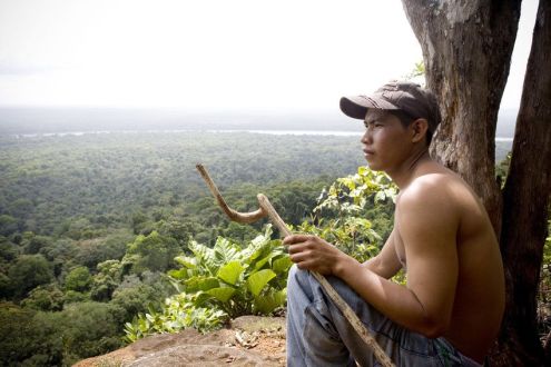 A guide looks out over forest canopy in Guyana.