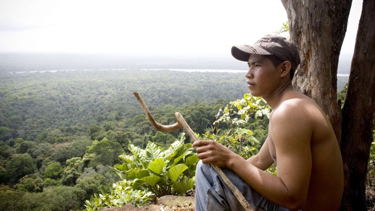 A male guide is sat by a tree on a hilltop, overlooking forest canopy below