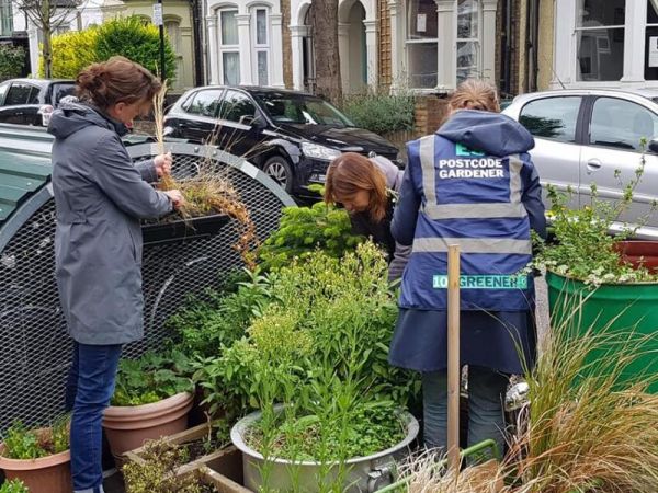 A collection of street planters on a London street