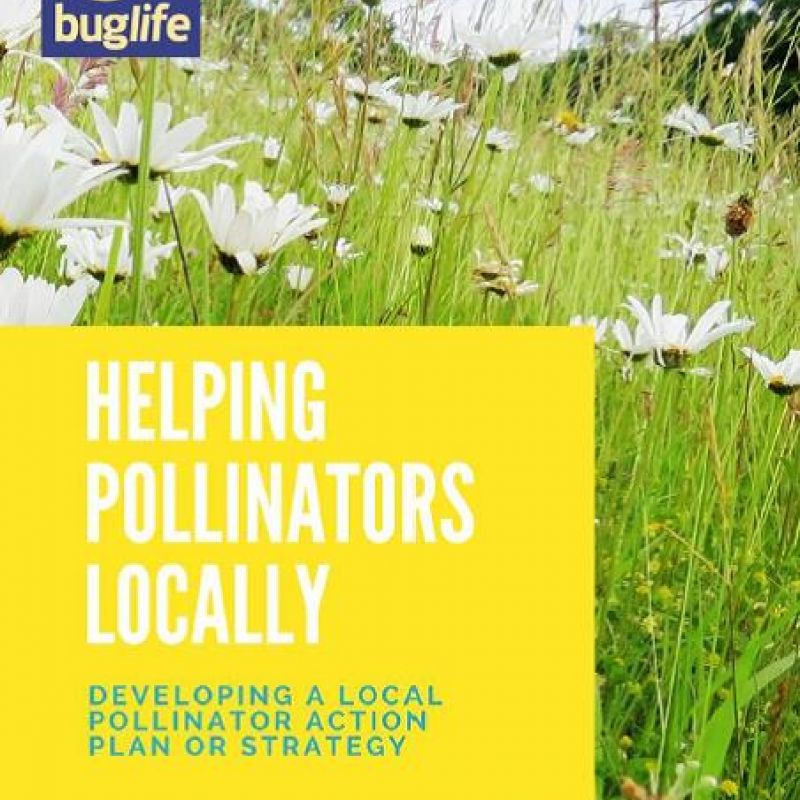 Helping pollinators locally - front cover