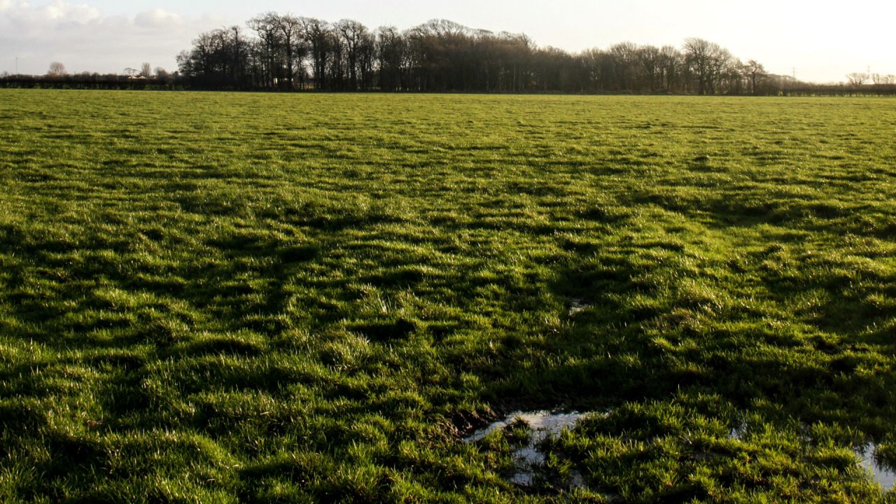 Roseacre Wood, the proposed Roseacre fracking site