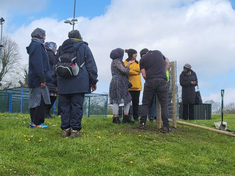 A group of people in a park observing a tree planting