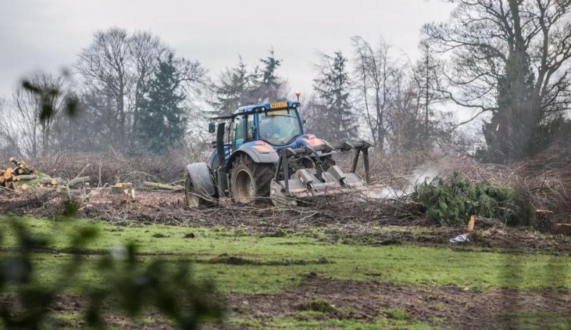 Devastation caused by tree felling in Blackwell, Darlington
