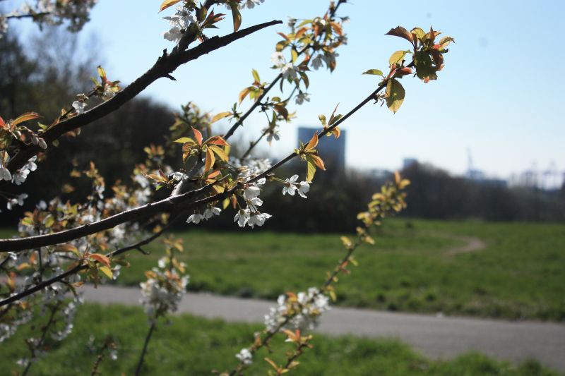 The Rimrose Valley is a green space in an industrialised area