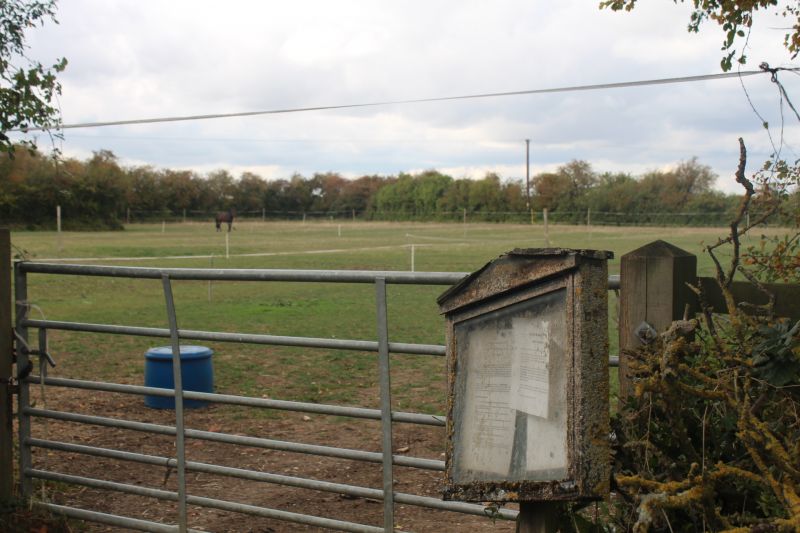 Alice's Meadow on Otmoor today. Looking over gate into field with horse.
