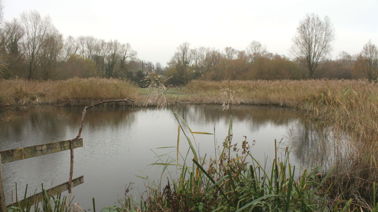 Magor Marsh Gwent Levels