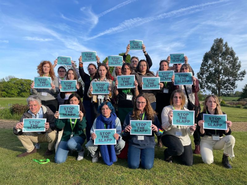 A group of 18 people are gathered on a green lawn looking serious. They're all holding posters which read "STOP THE SLAPP"