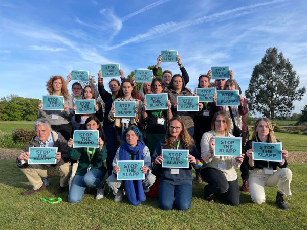 A group of 18 people are gathered on a green lawn looking serious. They're all holding posters which read "STOP THE SLAPP"