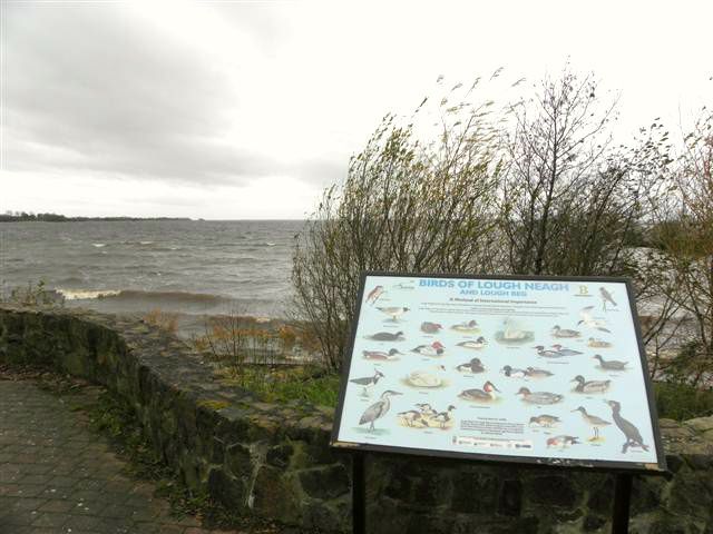 Information board showing the birds of Lough Neagh and Lough Beg