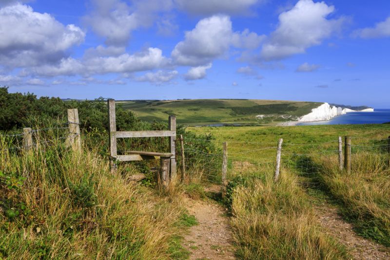 South Downs Way