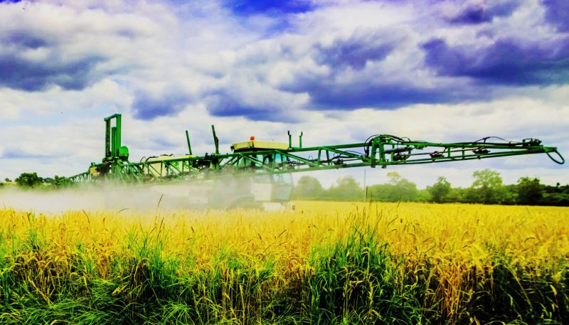 Crop spraying on field of yellow plants.