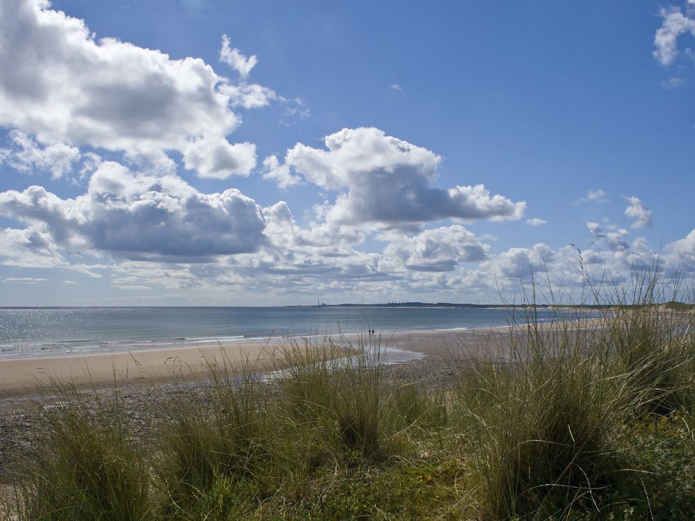 photo of Druridge Bay with dunes and grasses in foreground