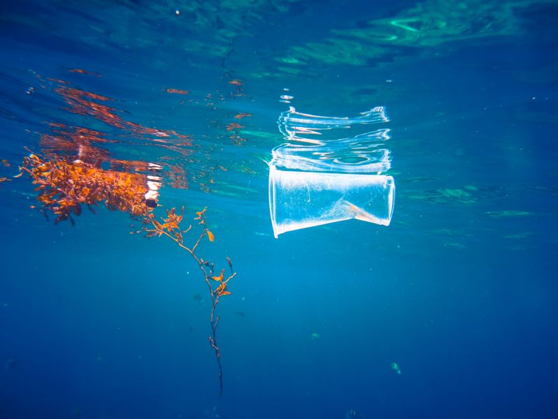 Photo of plastic cup floating in the sea
