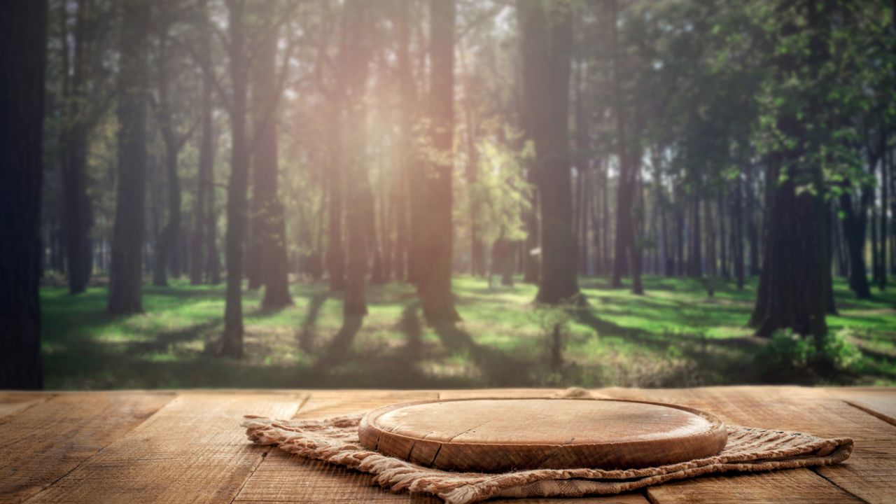 photo of wooden objects and forest