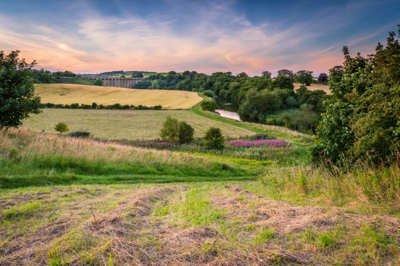 Farmland fields near Lesbury, Northumberland