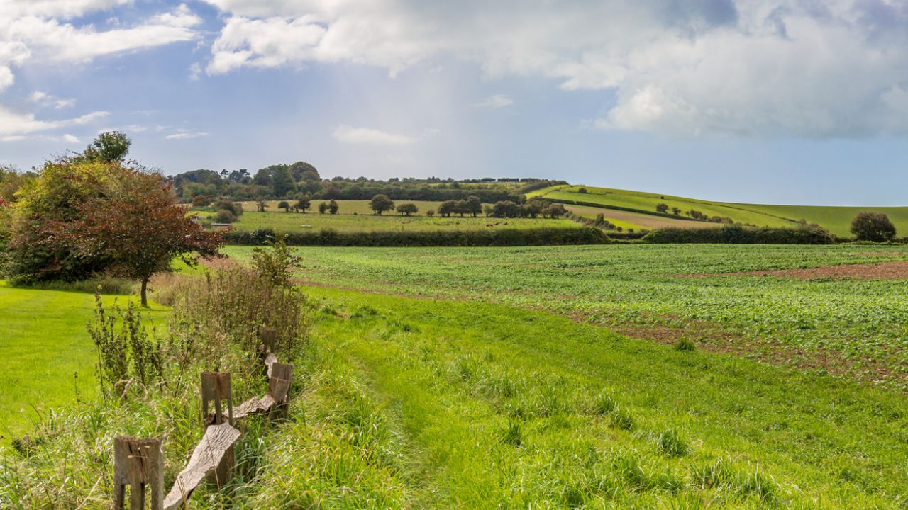 The South Downs was made a National Park in 2010