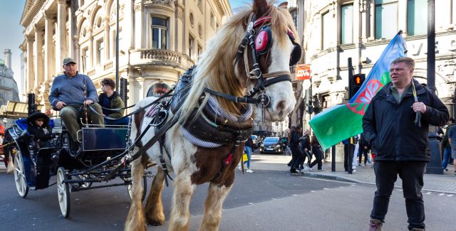 A horse leads a man and boy in a cart during a demonstration in London