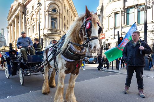 A horse leads a man and boy in a cart during a demonstration in London