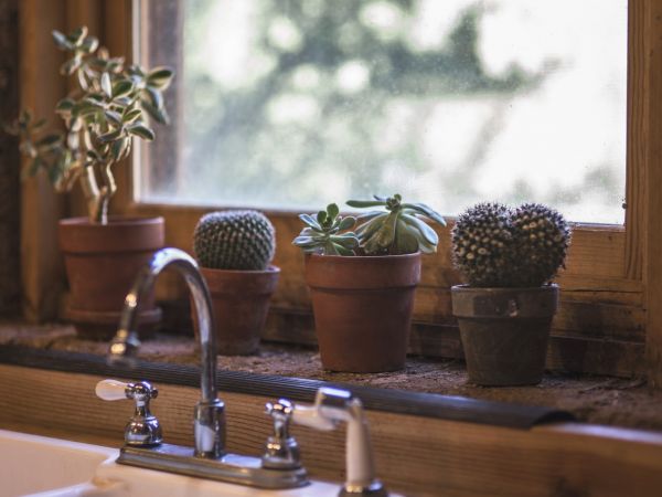Photo of plastic-free kitchen sink